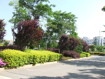 总务科加大检查力度确保学校校园环境整洁