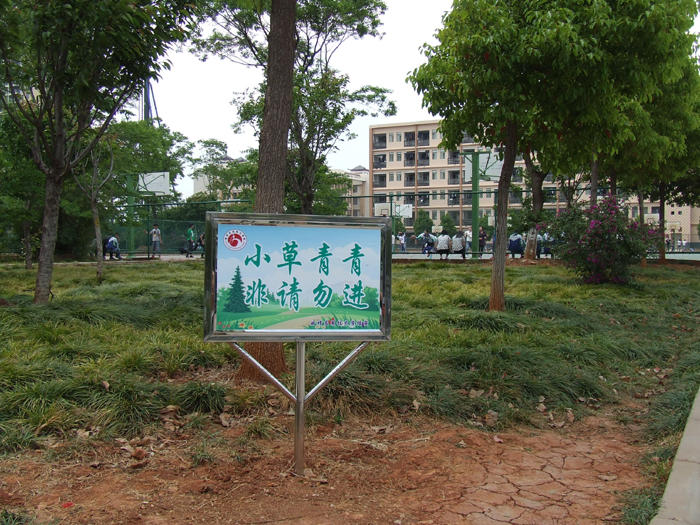 总务科制作悬挂绿化宣传标语